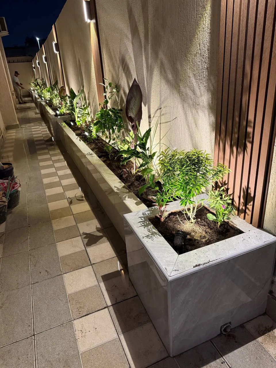 أحواض زرع إسمنتية بطول جدار جانبي في فناء منزل مع نباتات استوائية أحواض زرع إسمنتية بطول جدار جانبي في فناء منزل مع نباتات استوائية